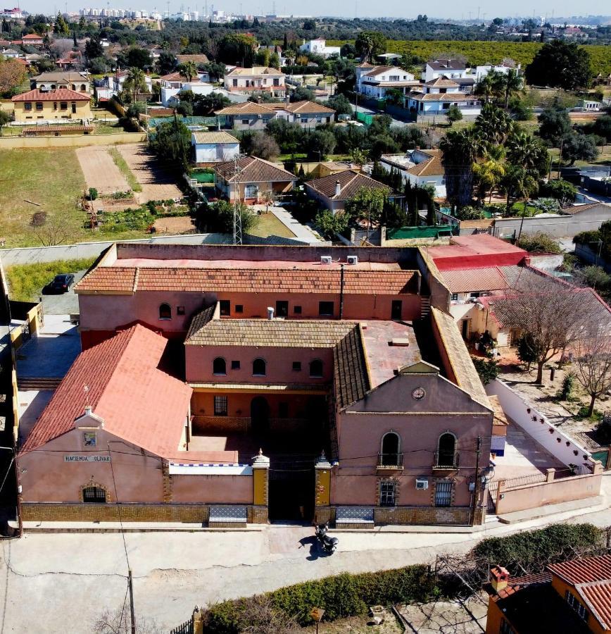 Casa Cortijo Olivar Appartamento *