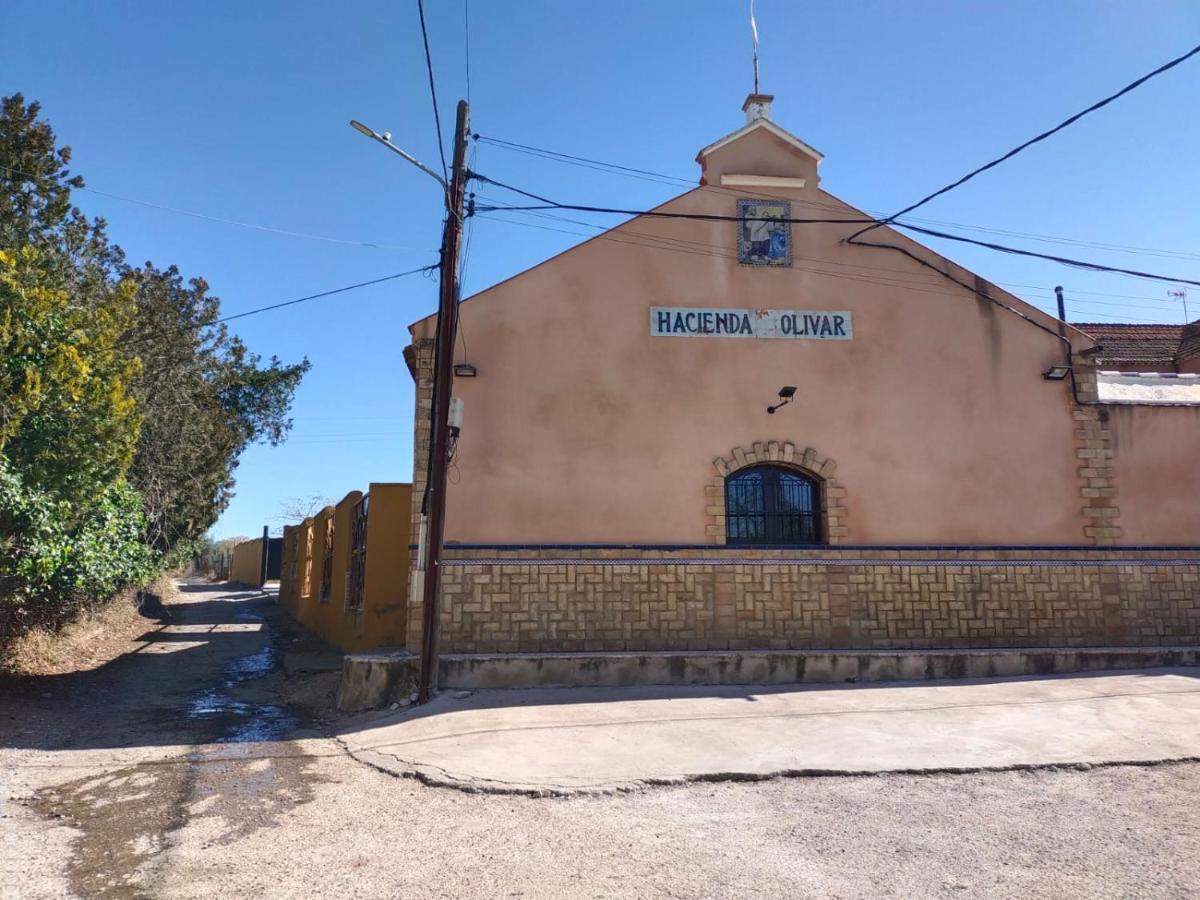 Casa Cortijo Olivar Siviglia